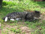 IMG_0073.jpg