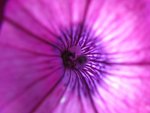 IMG_0078.jpg