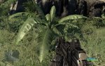 crysis64 2011-08-06 18-50-31-25.jpg