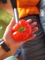 IMG_20240803_141454_623.jpg