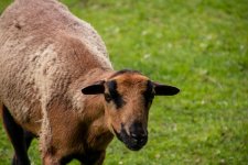 IMG_3819.jpg