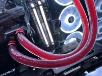IMG_5065.jpeg
