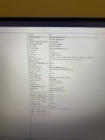 IMG_2155.jpeg