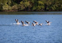 IMG_3942.jpg