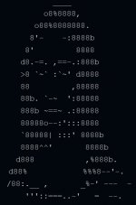 ASCII Bild.jpg