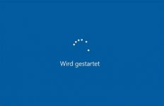 Windows.jpg