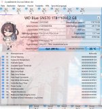 C.jpg