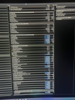 IMG_7508.jpeg