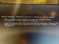 IMG_8433.jpeg