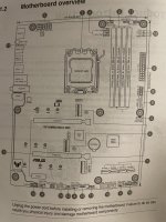 IMG_8421.jpeg