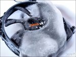 Lüfterfrost 18.jpg