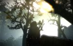 witcher2_2011_07_20_23_01_04_387.jpg