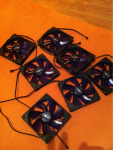 image-4173347407.png