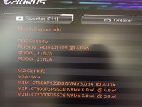 IMG_3021.JPEG