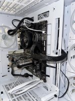IMG_6975.jpeg