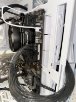 IMG_6977.jpeg