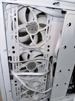 IMG_6981.jpeg