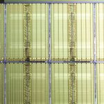 MBchip_IMG1507.jpeg