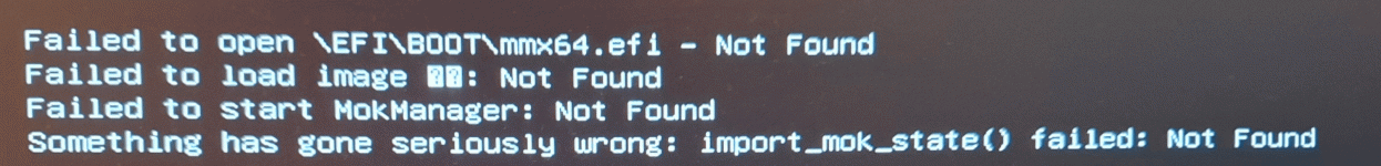 Fehler_Boot_linux.gif