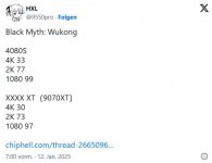 Wukong_Leak.JPG
