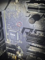 20250209_093431.jpg