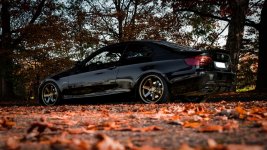 IMG_0902.jpeg