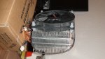 DSC01390.JPG