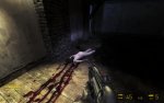 hl2_2012_01_14_18_29_08_316.jpg