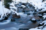 DSC_4181.jpg