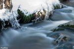 DSC_4189.jpg