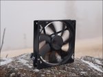 Frost 081.jpg