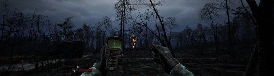 RTX5090_Stalker2_Test_02.jpg
