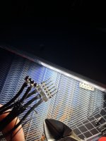 IMG_7407.jpeg