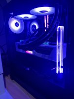 IMG_2445.jpeg
