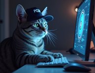 HaMa am 06.04.2025 - PCGH CAT.jpg