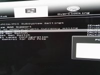 bios1.jpg