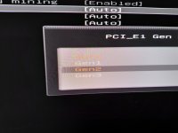 bios2.jpg