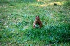 IMG_4954.jpg
