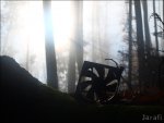 Nebel 175.jpg