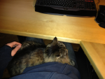 image-758966449.png
