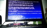 IMAG0516.jpg