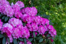 IMG_4978.jpg