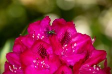 IMG_5107.jpg
