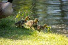 IMG_5081.jpg