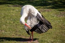 IMG_5141.jpg