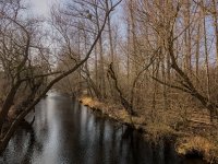 20250308_135120.jpg