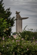 DSC00408.jpg
