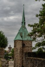 DSC00422.jpg
