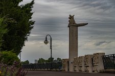 DSC00402.jpg