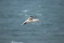 IMG_5277.jpg